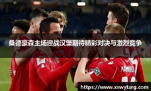 桑德豪森主场迎战汉堡期待精彩对决与激烈竞争